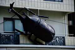 カブト虫マンション