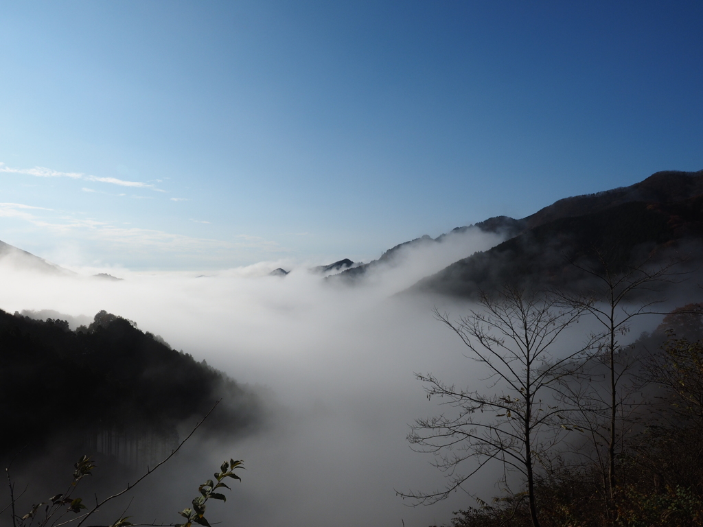 雲海