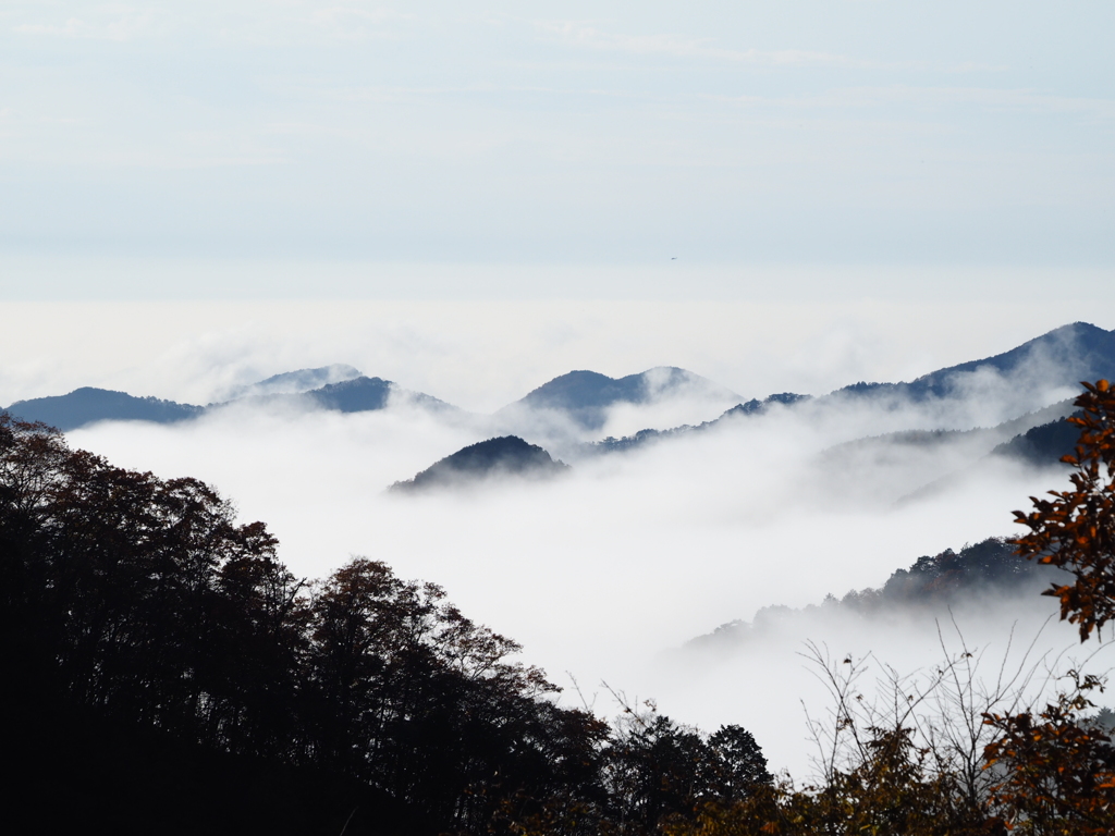雲海