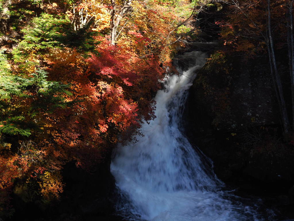 竜頭の滝