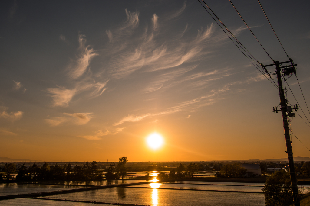 水田の夕暮れ