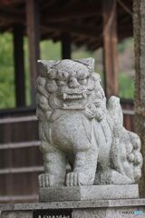 安倉八幡宮の横にある神社の狛犬（右側）