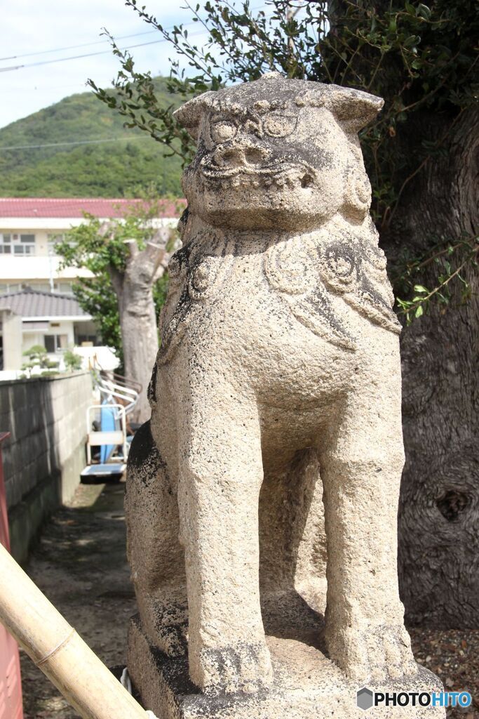 神島神社　西入り口左の狛犬