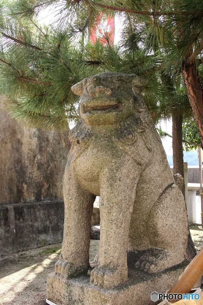 神島神社　西入り口右の狛犬