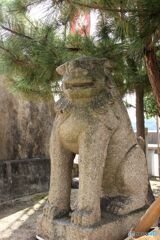 神島神社　西入り口右の狛犬
