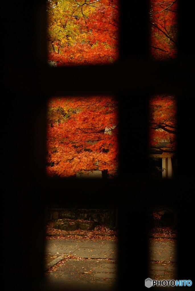扉の格子から紅葉を見る
