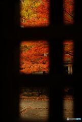 扉の格子から紅葉を見る