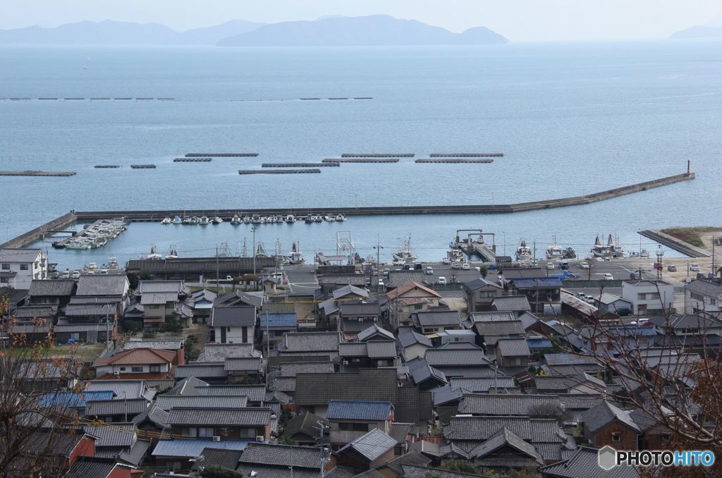 港を鳥瞰