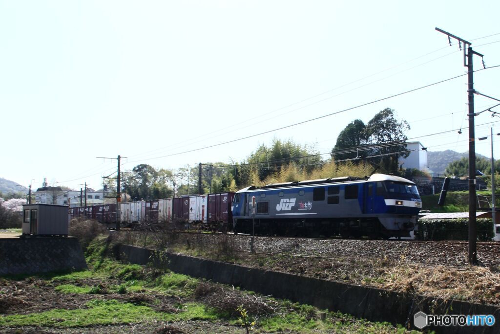 貨物列車　EF210-119