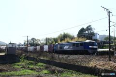 貨物列車　EF210-119