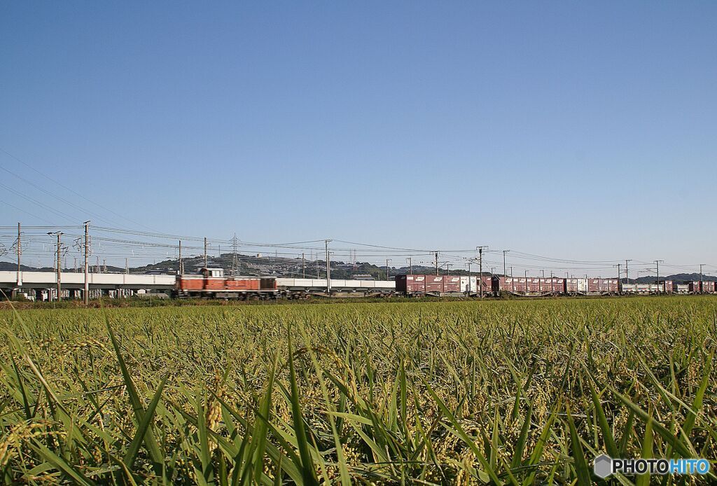 古い写真から　　　こんな貨物列車もありました