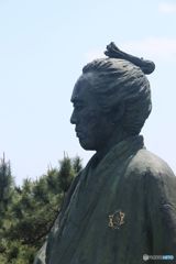 土佐の高知の日帰り旅　竜馬の目線
