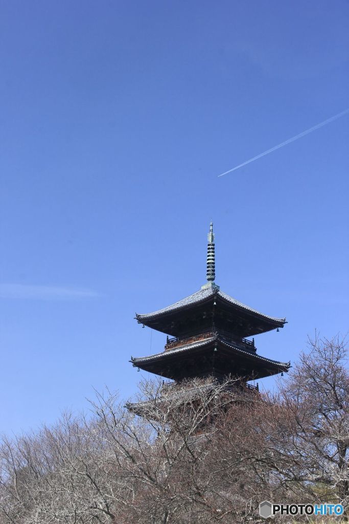 塔