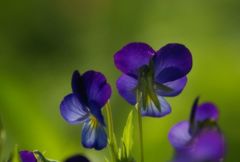 優しさにつつまれて