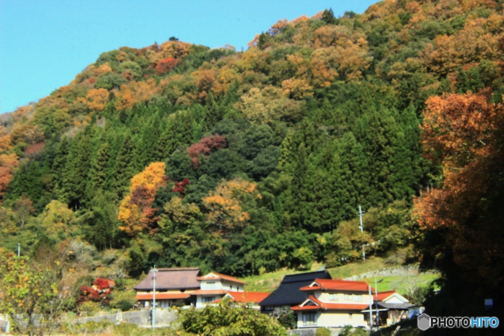 秋　道路沿いの集落