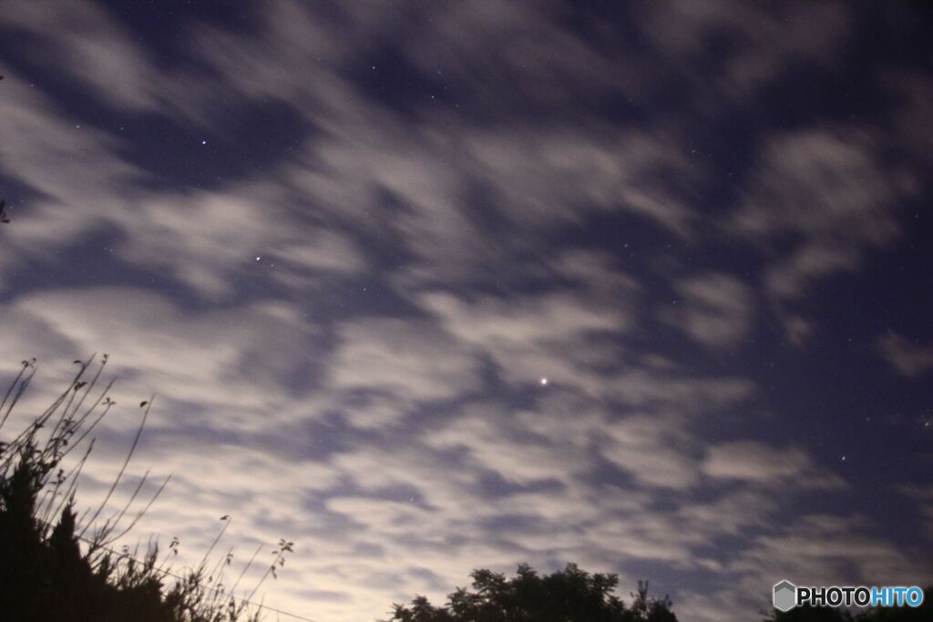 東の空の明るい星