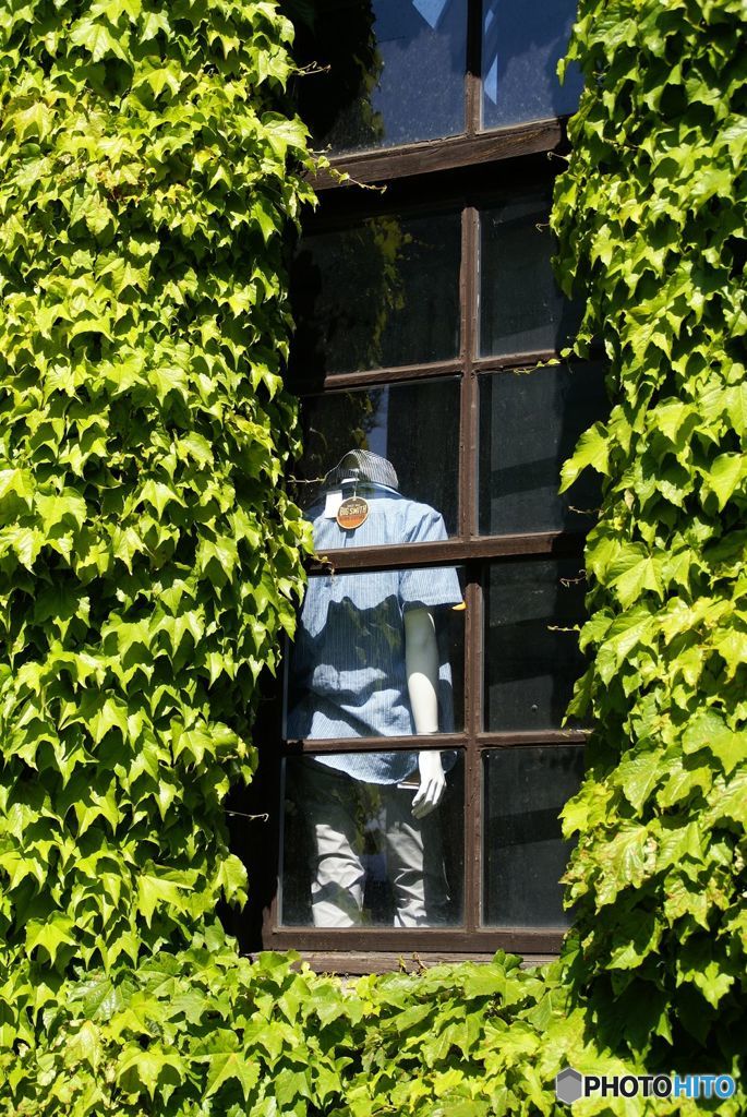 美観地区かいわい散歩　（１２）窓