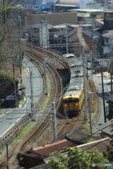 下りの黄色い普通列車