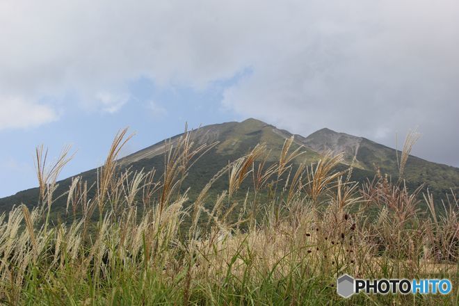 ススキと大山