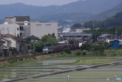 農作業と貨物列車