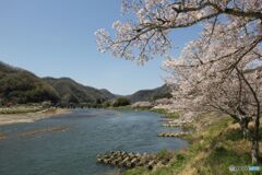 川の風景