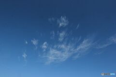 尾を引く雲