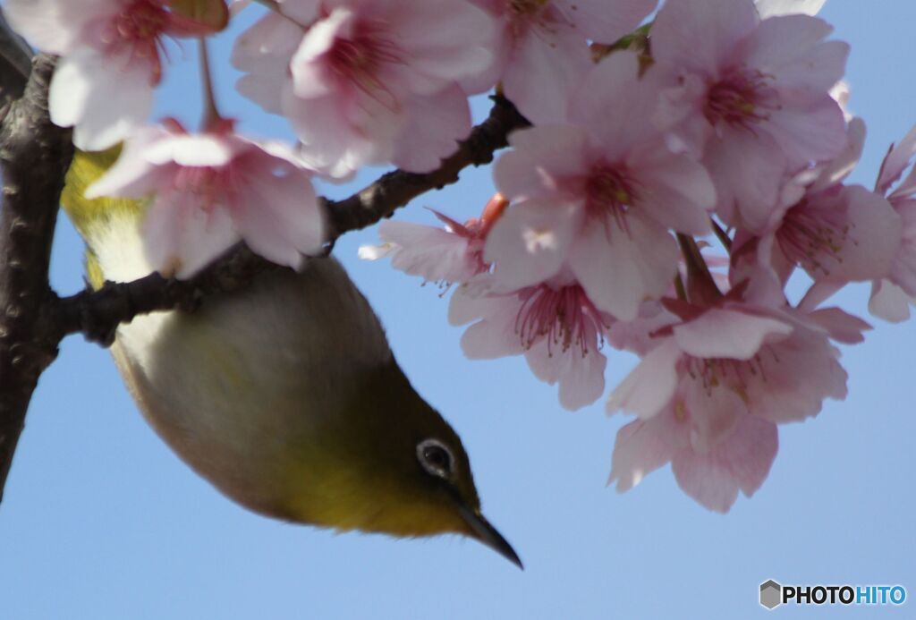 さあ、次行くぞ