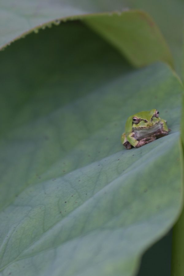 気持ちのいい朝