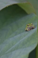 気持ちのいい朝 気持ちのいい朝