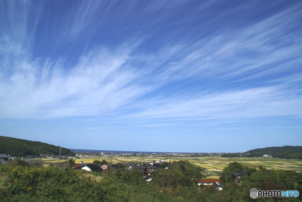 田園