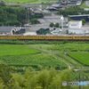 田んぼの横を　　１７１４Ｍ　