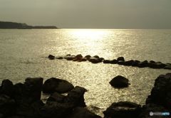 夏泊海岸からの海