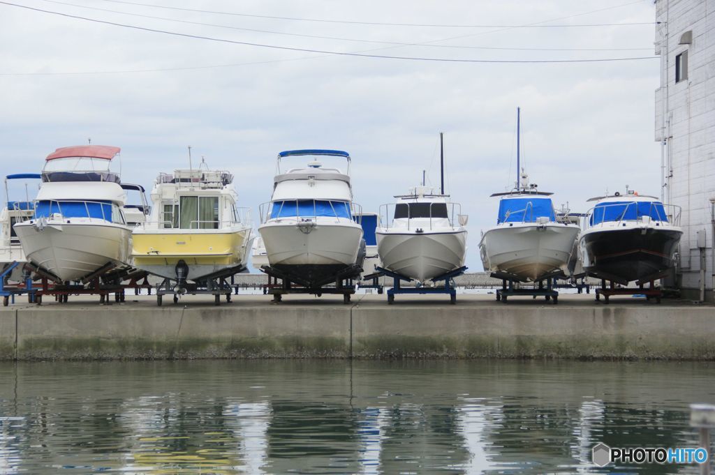 マリーナ・　そろって休息？