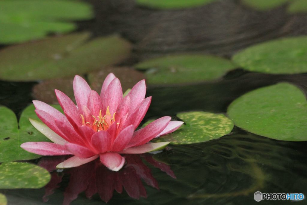 SEE  YOU  AGAIN  NEXT  SUMMER