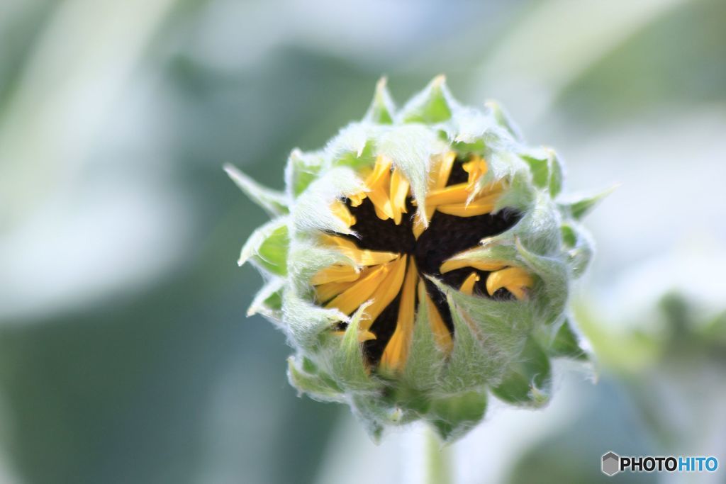 もうすぐですよ　お待たせしました。