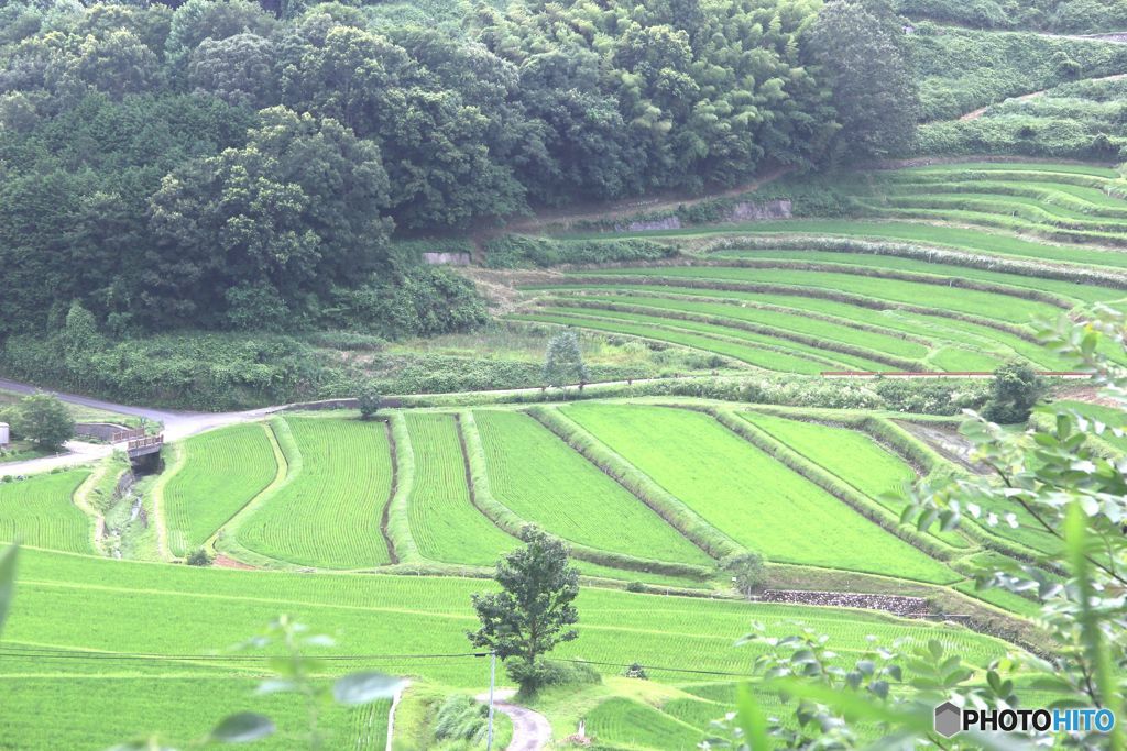 棚田の風景　　別の場所から