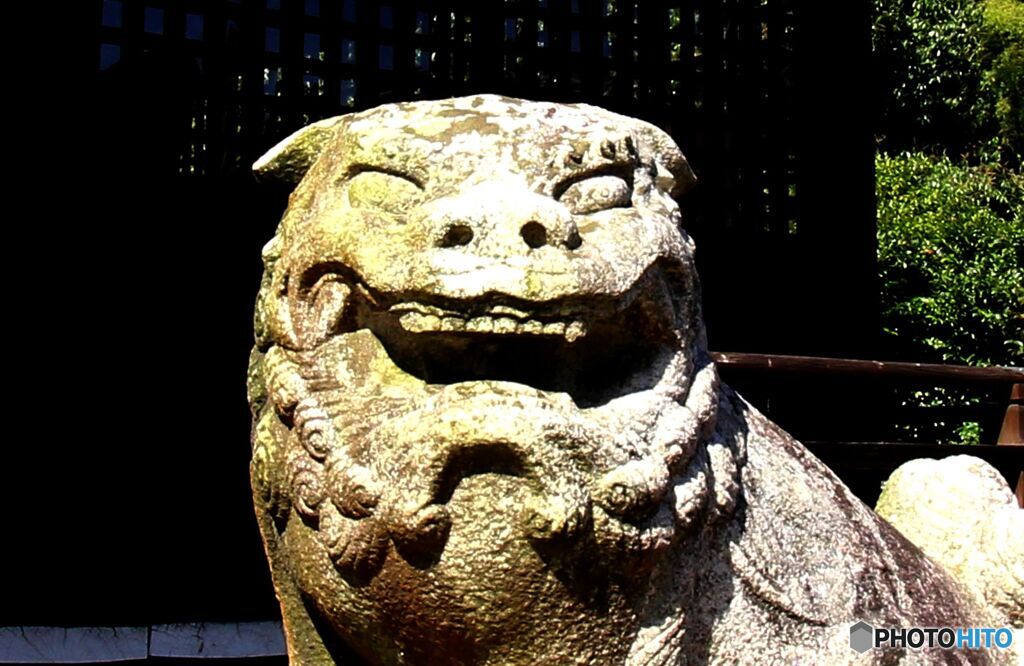 狛犬（拝殿前・右）