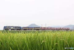 貨物列車