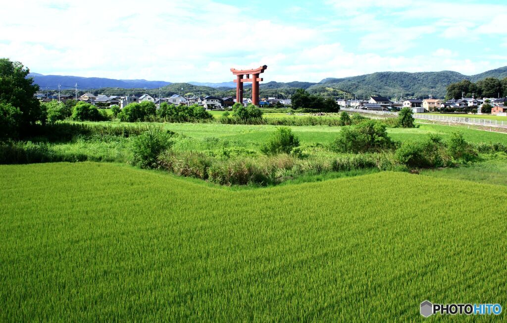 最上稲荷の大鳥居