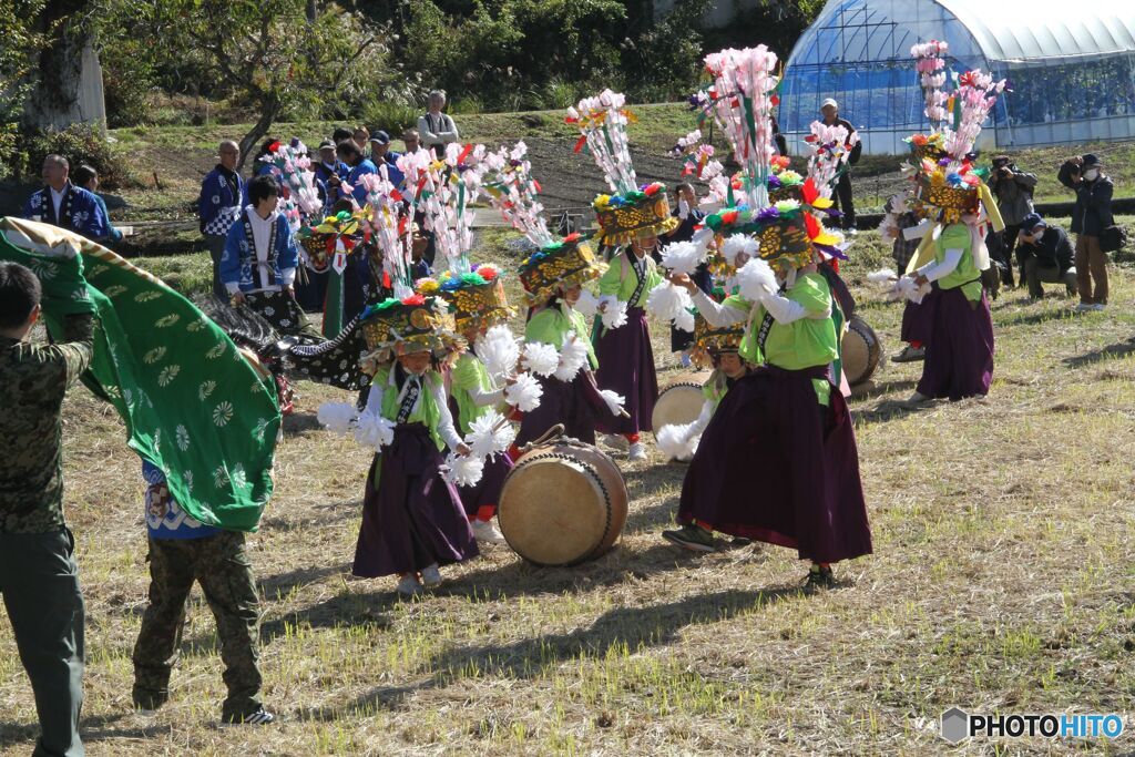  渡り拍子　畑で舞う