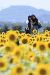 この写真どう？