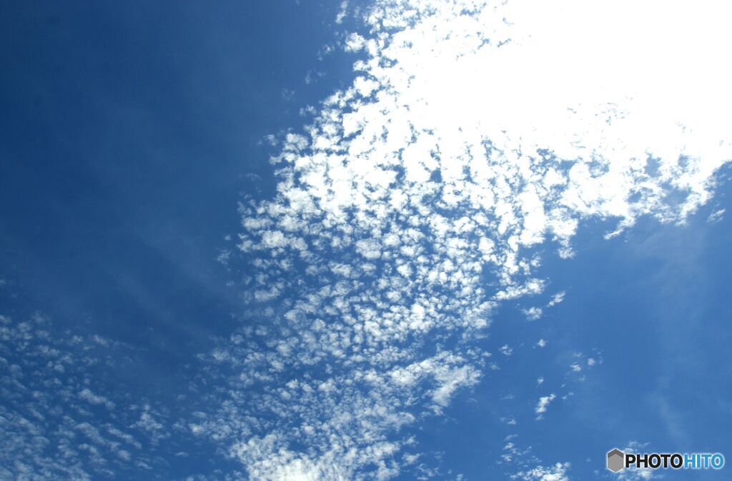 雲