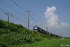 貨物列車と入道雲