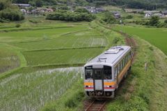 緑の中を　キハ120　が行く