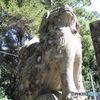 境内入り口の狛犬（左）