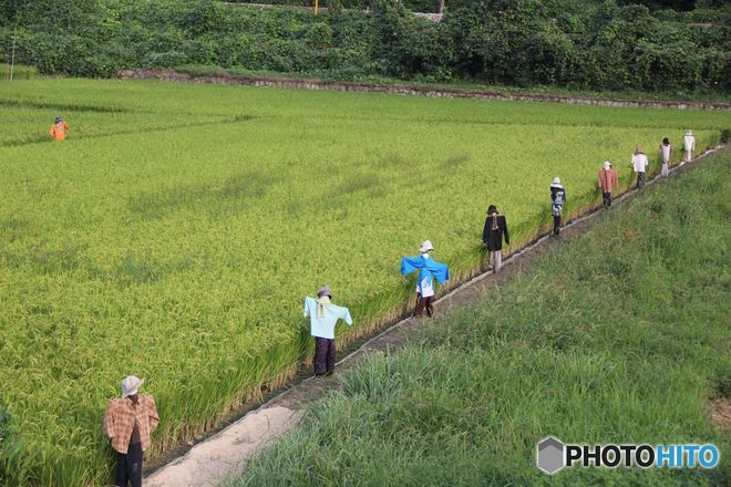 古い写真カラ　　10人の番人