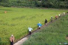 古い写真カラ　　10人の番人