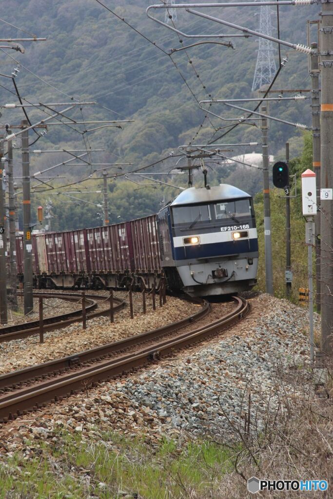 カーブを通過　EF219-168号機