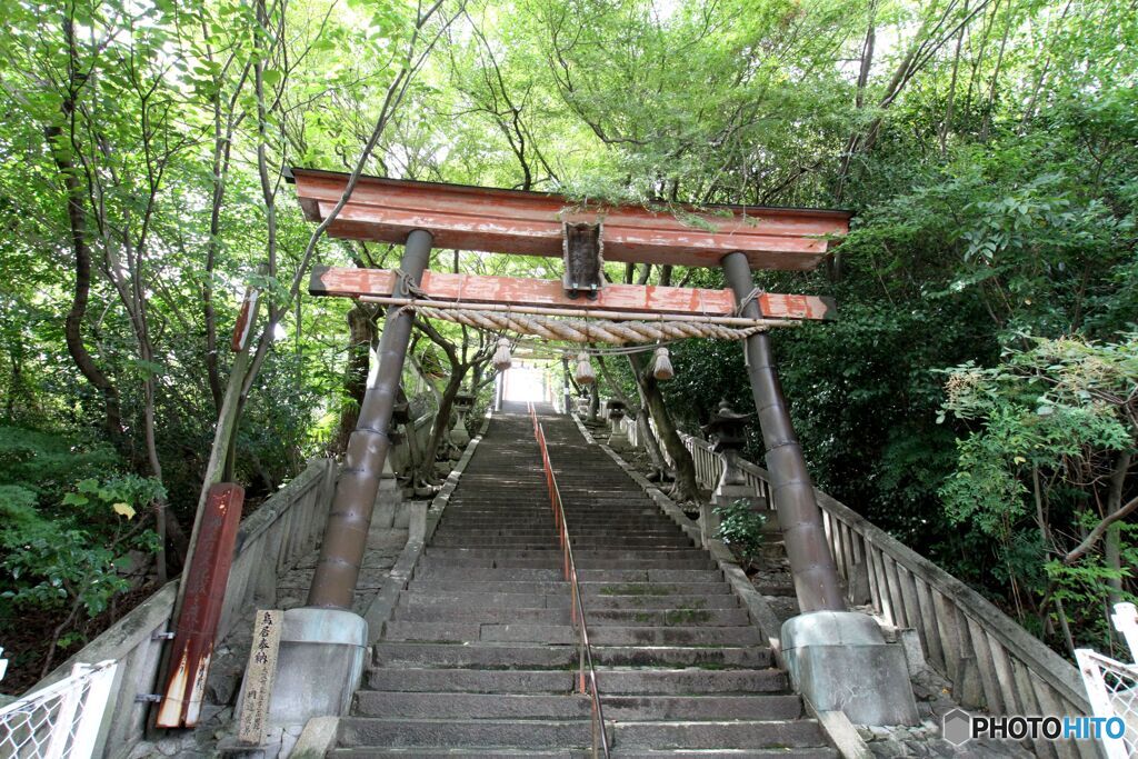 神社探訪　稲富稲荷神社の鳥居