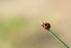 行き止まりだぁ